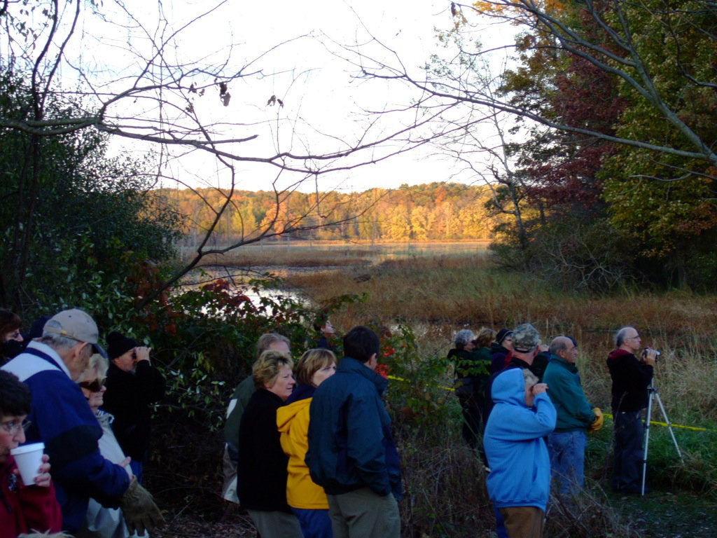 Birdwatchers @ Big Marsh Lake