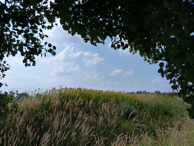 Ausblick