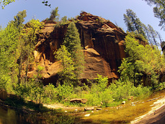 0502 115312 West Fork Oak Creek