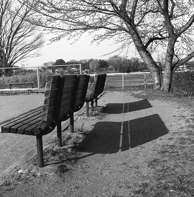 Benches