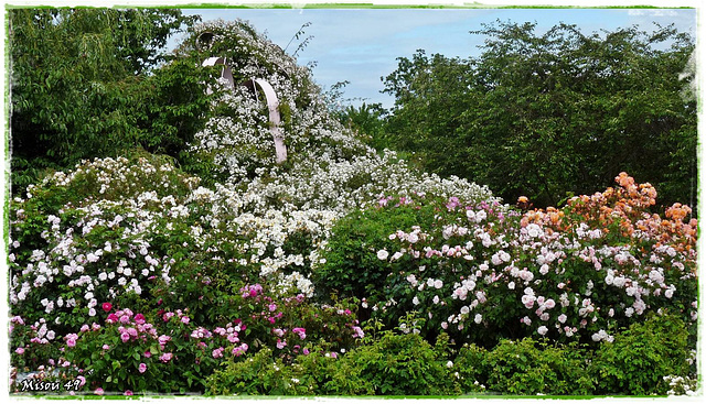 TERRA BOTANICA