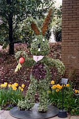 Topiary Easter Bunny