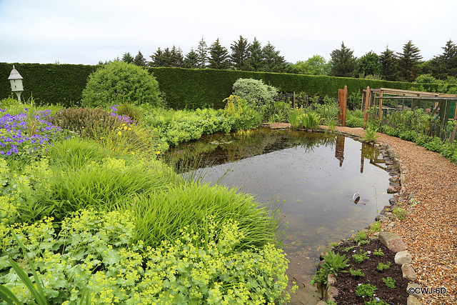 Carestown Steading Garden