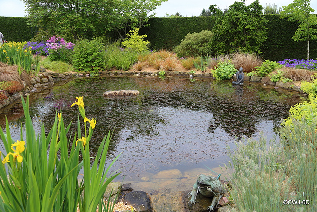 Carestown Steading Garden