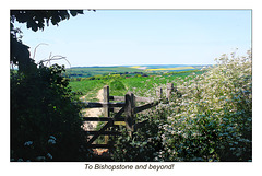 To Bishopstone & beyond - 5.6.2013