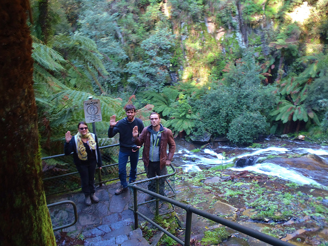 Tarra Bulga day trip