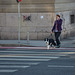 street scene - Zagreb