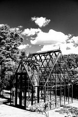 Wisley RHS Gardens X-T1 18-55 Glasshouse 1 Mono