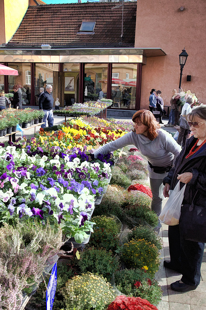 Dolac flower market, Zagreb