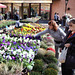 Dolac flower market, Zagreb