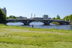 Bridge Charles river
