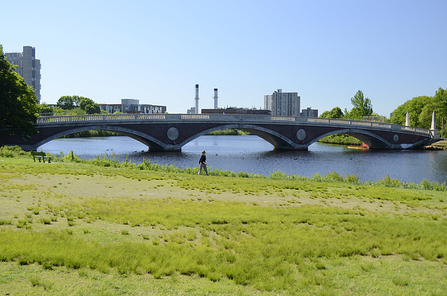 Bridge Charles river