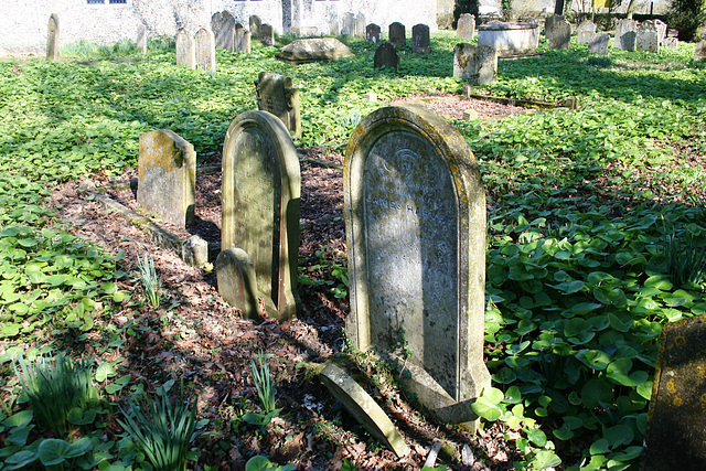 Spexhall Church, Suffolk (14)