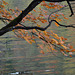 autumn, Plitvice Lakes