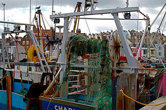 Fishing Boats in Weymouth Harbour