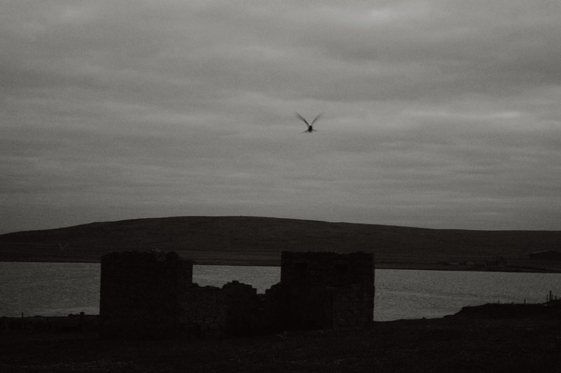 Shetland - Unst