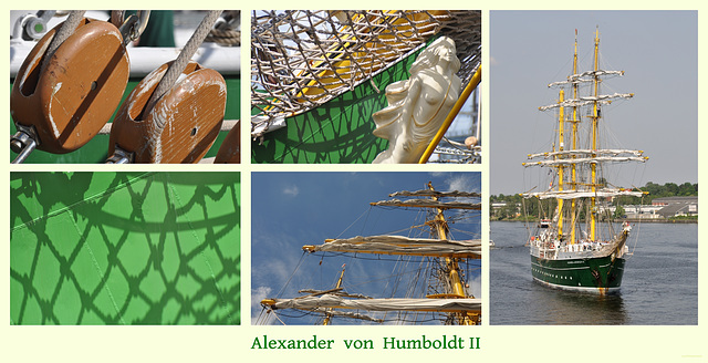 Alexander von Humboldt II