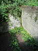 warley place, essex