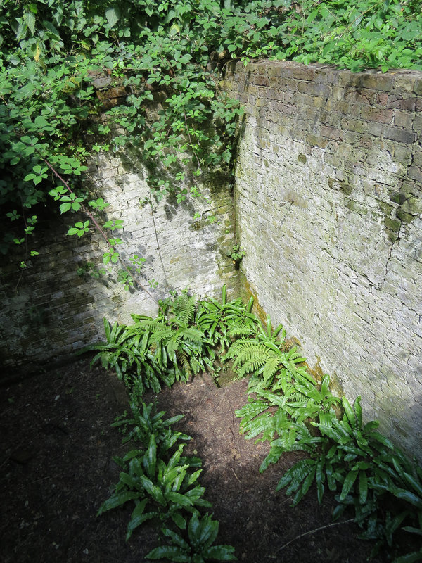 warley place, essex