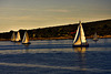 regatta in a painter's imagination