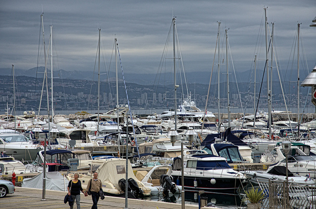 busy port, many masts