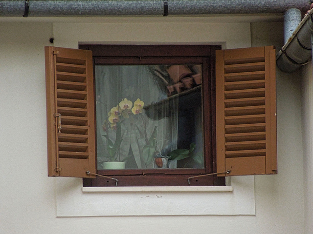 Mošćenice window