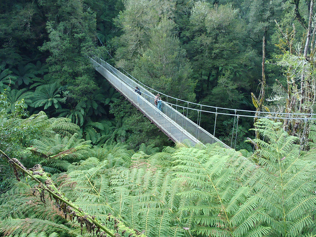 Tarra Bulga day trip