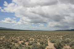 The Sagebrush Steppe