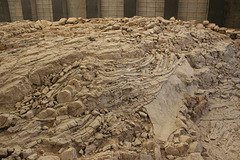 Ichthyosaur bones (ribs?)