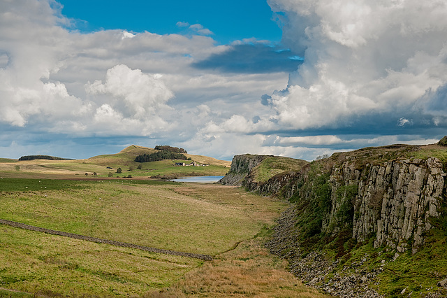 Steel Rigg