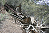 Richmond Canyon mine