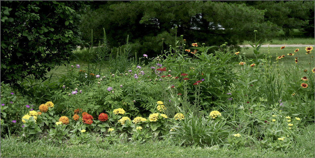 The Front Garden