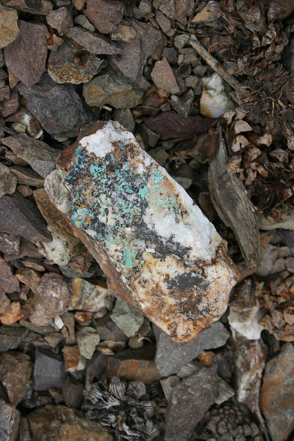 Bull quartz