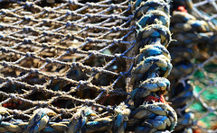 Lobster Pots