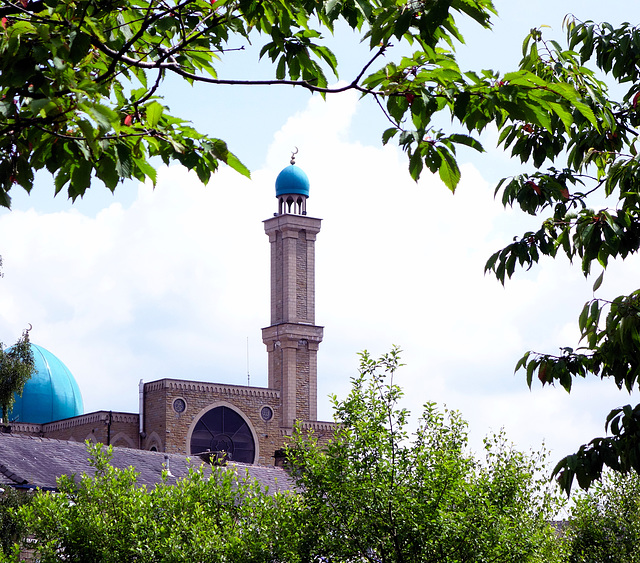 Jamia Sultania Mosque.