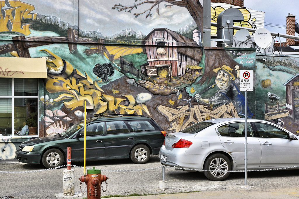 Farm Fresh Eggs – Coloniale Avenue at Roy Street, Montréal, Québec