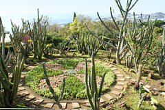 Madeira. Monte. Botanischer Garten.  ©UdoSm