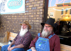 Long Bearded Miller's Hollow Boys