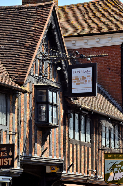 The Lion and Lamb centre, Farnham, Surrey