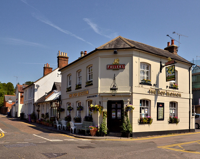 The Hop Blossom, Farnham