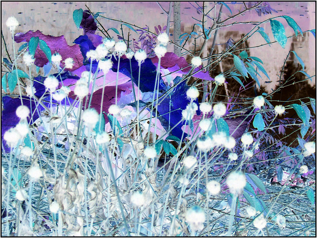 Color Remnant Inverted