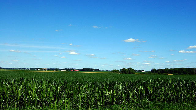 Sky and Farm