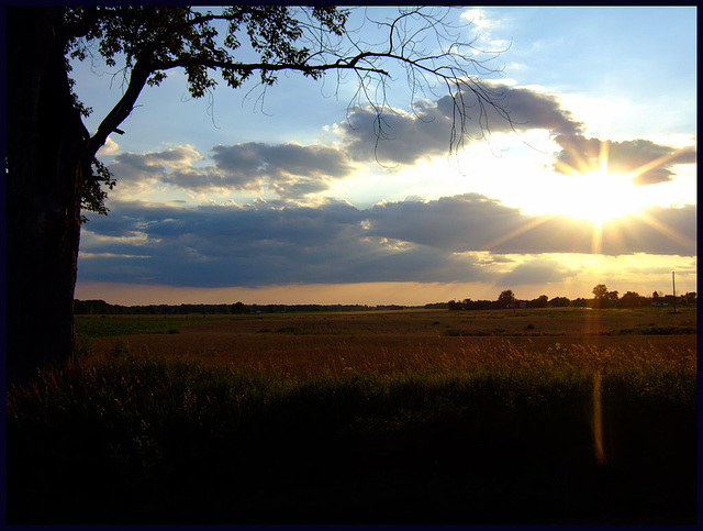 Wheat and Sky from Boyer Road