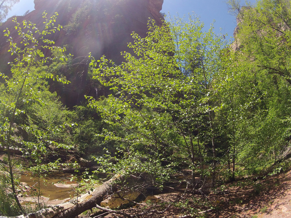 0502 130912 West Fork Oak Creek