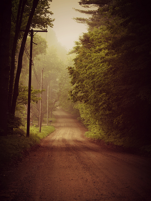 a walk through the fog