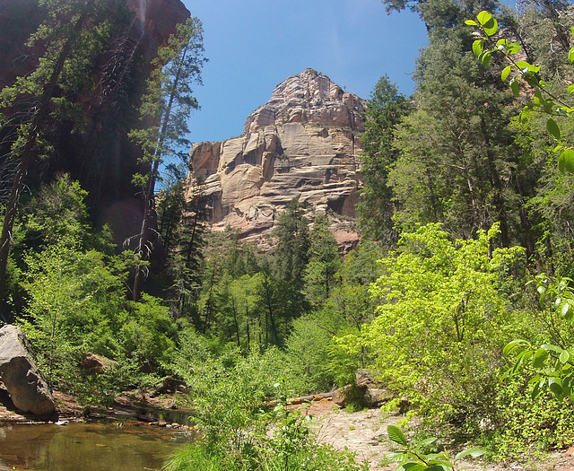 0502 131124 West Fork Oak Creek