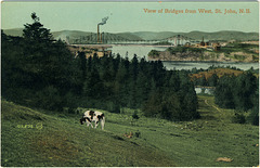 View of Bridges from West, St. John, N.B.