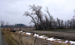 Busted Windbreak