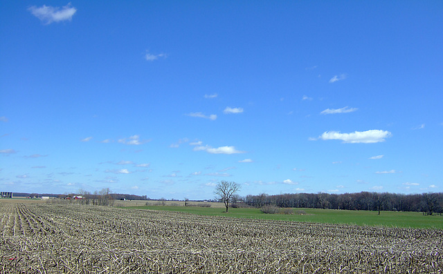 Blue and Green