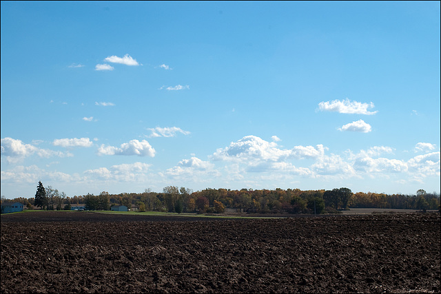 The View from Boyer Road